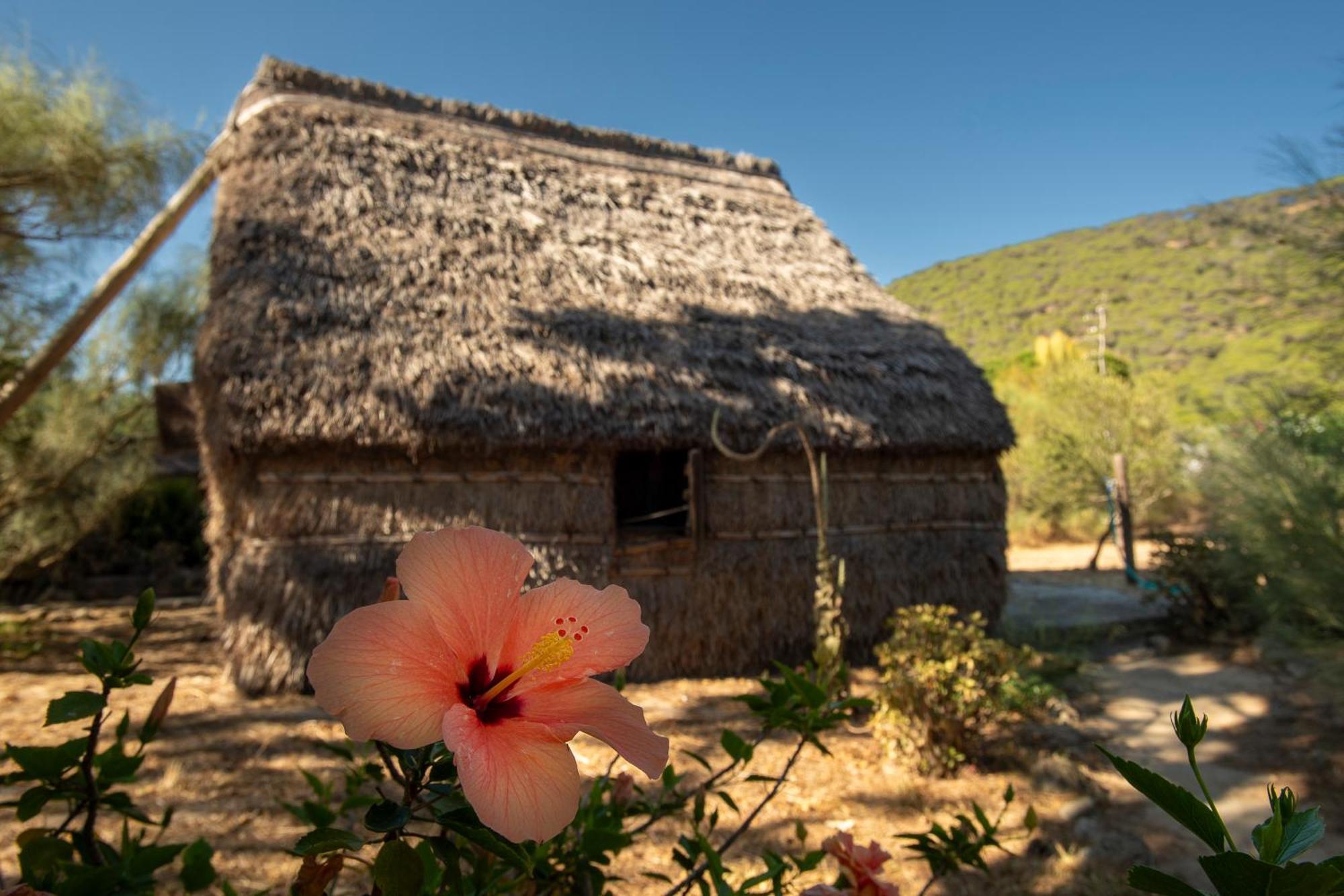 Apartmán Casas Karen Los Canos De Meca Exteriér fotografie