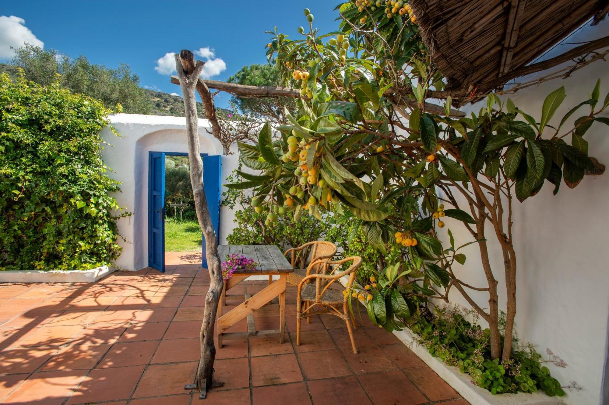 Apartmán Casas Karen Los Canos De Meca Exteriér fotografie